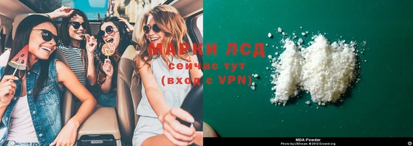 молекула духа Богданович