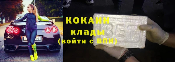 молекула духа Богданович