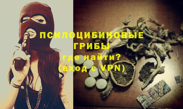 молекула духа Богданович