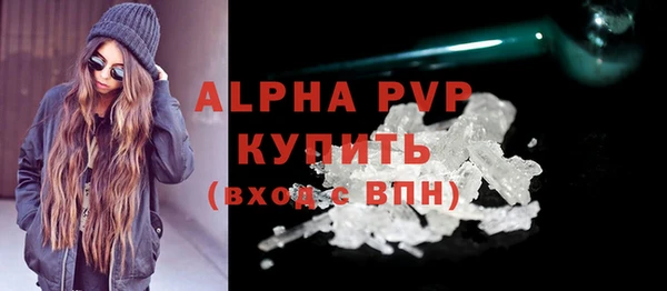 молекула духа Богданович