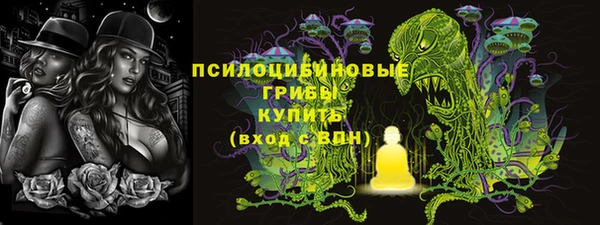 молекула духа Богданович