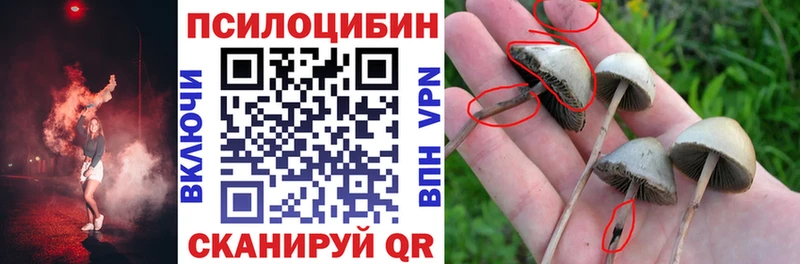 Галлюциногенные грибы Magic Shrooms  Озёрск 